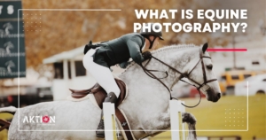 Read more about the article What Does an Equine Photographer Do? A Comprehensive Guide