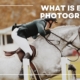What does an equine photographer do